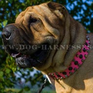 Collar for Shar-Pei Girl of Pink Leather with Studs and Cones Collar for Shar-Pei Girl of Pink Leather with Studs and Cones