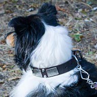 Vintage Style Dog Collar with Plates and Pyramids for Collie