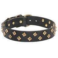 Couture Dog Collar with Brass Pyramids, Fashionable Accessory