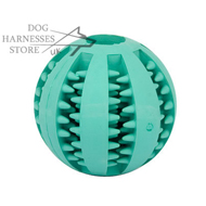 Dental Dog Ball  with Mint Flavor for Oral Care and Chewing