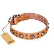 "Extra Sparkle" FDT Artisan Beige Leather Designer Dog Collar "Extra Sparkle" FDT Artisan Beige Leather Designer Dog Collar