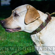 Designer Dog Collar with Brass Plates & Nickel Pyramids for Labs