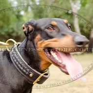 Doberman Collar of 2-ply Leather with Braids, Brass Buckle