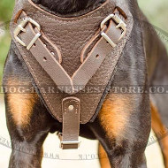 Bestseller! Dog Walking and Training Harness for Doberman