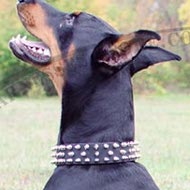 Doberman Leather Collar with Spikes for Walks and Training