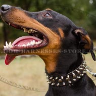 Doberman Leather Dog Collar Decorated with Spikes and Studs