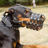 Doberman Muzzle UK