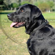 Dog Choke Collar of Double-ply Leather with Braided Adornment