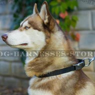 Dog Collar for Husky of Nylon with Quick-Release Metal Buckle