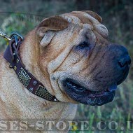 Dog Collar for Shar-Pei, Leather with Vintage Plates and Cones