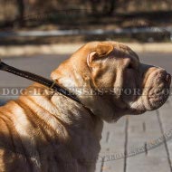 Dog Collar for Shar-Pei Safe Behavior Control and Correction