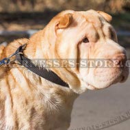 Dog Collar for Shar-Pei of Nylon with Quick-Release Buckle