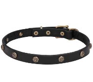"Romantic Visions" Thin Leather Dog Collar Engraved Brass Studs