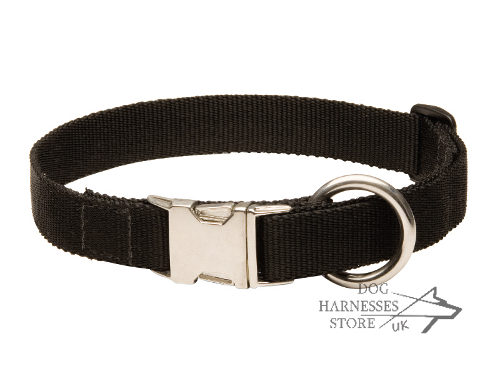 Adjustable Nylon Dog Collar