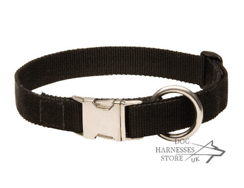 Dog Collar for Shar-Pei