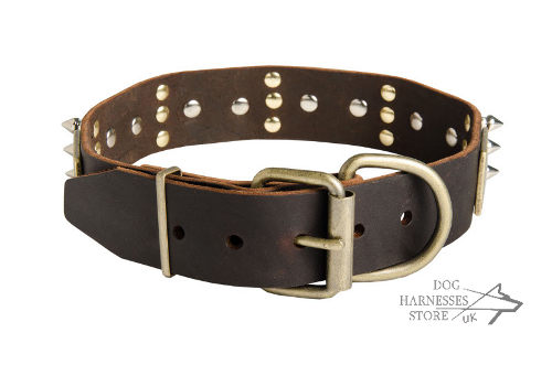 Spiked Dog Collar