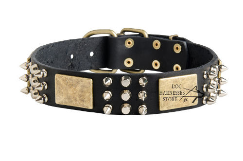 Black Leather Dog Collar