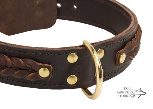 Durable Dog Collar