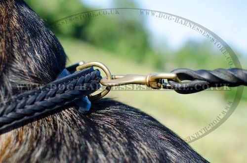 Braided Leather Dog Collar