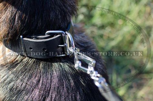 German Shepherd Collar