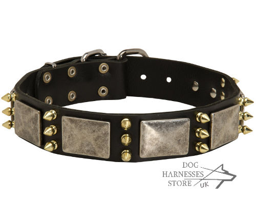 Leather Dog Collar UK