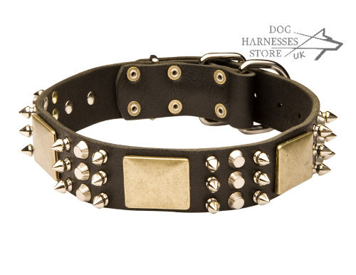 Designer Dog Collar