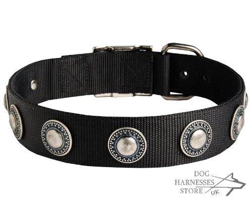 Nylon Dog Collar