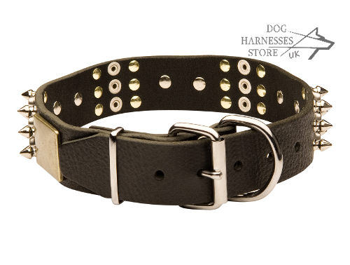 Exclusive Dog Collar