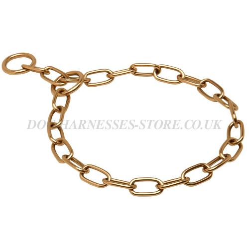 Dog Chain Collar