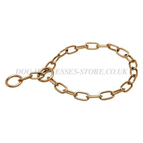 Dog Chain Collars