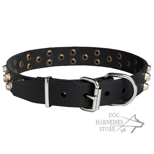 Dog Collar Leather