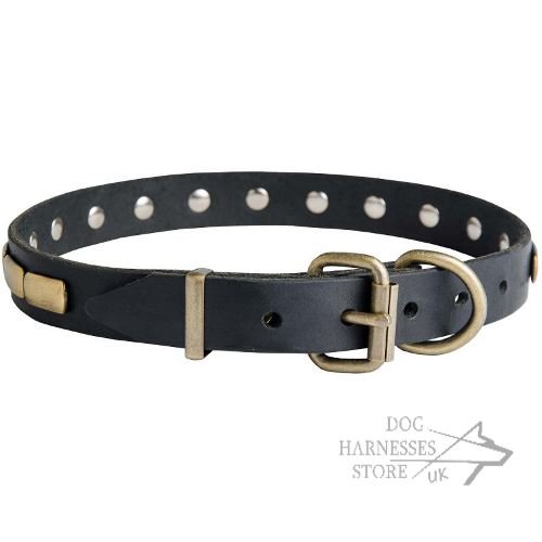 Leather Dog Collar UK, Necklace Style