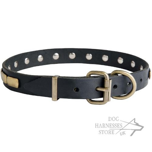 Leather Dog Collar UK