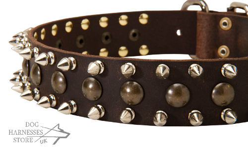 Doberman Leather Dog Collar