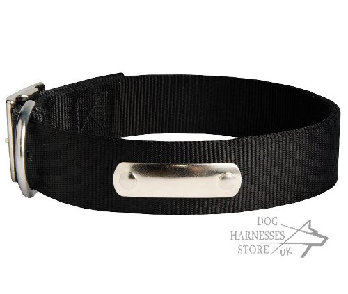 Nylon Dog Collar with ID Tag