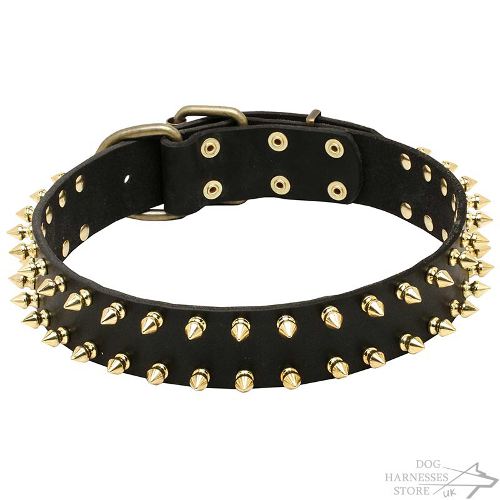 Spiked Leather Dog Collar