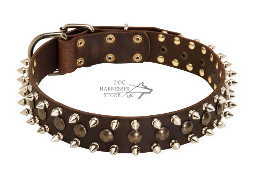 Spiked Dog Collar