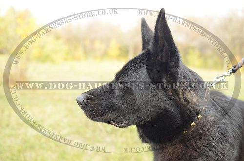 Black Leather Dog Collar