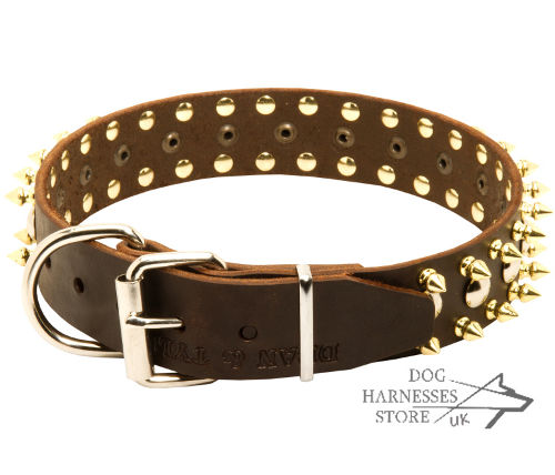 Spiked Dog Collar