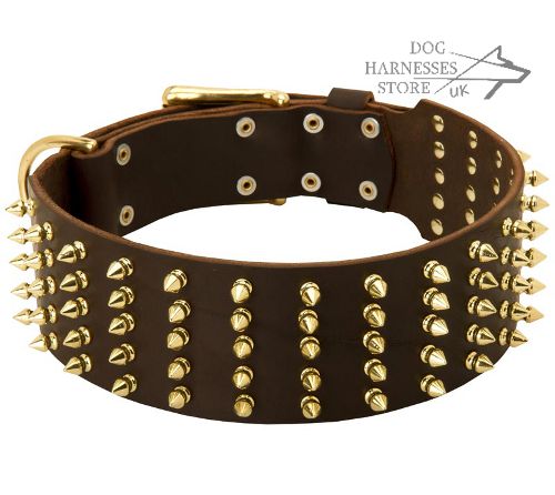 Extra Wide Dog Collar