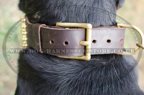 Wide Leather Dog Collar