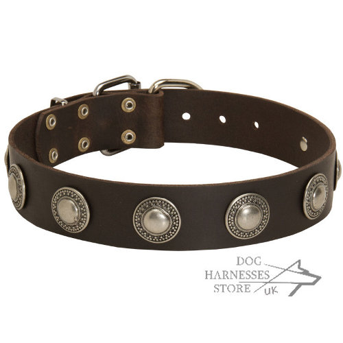 Soft Leather Dog Collar