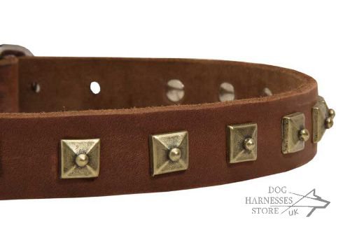 Narrow Leather Dog Collar UK
