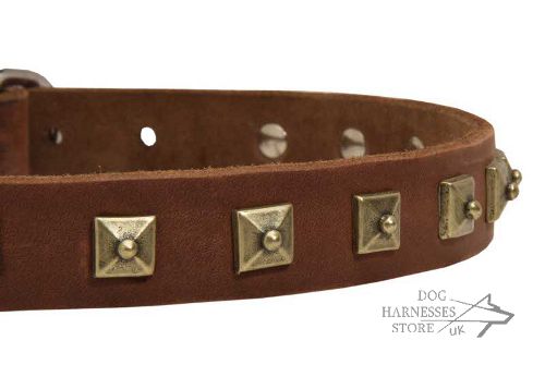 Studded Dog Collar