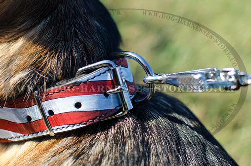 Best Dog Collars UK