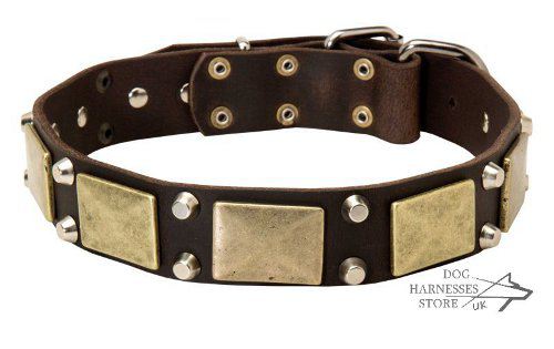 Handmade Dog Collar