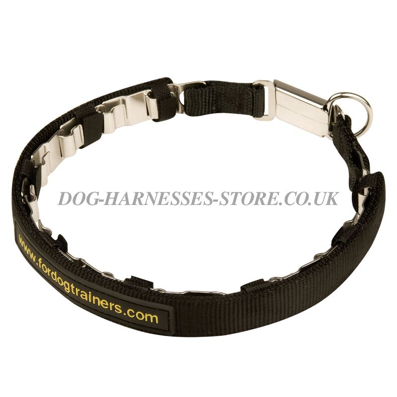 Nylon Dog Collars Uk Nylon Dog Collars Uk