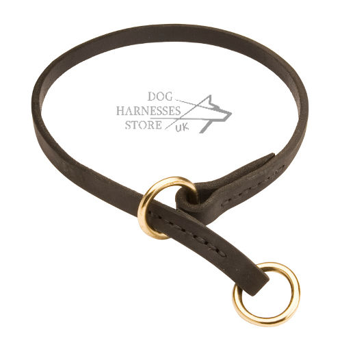 Leather Choke Collar