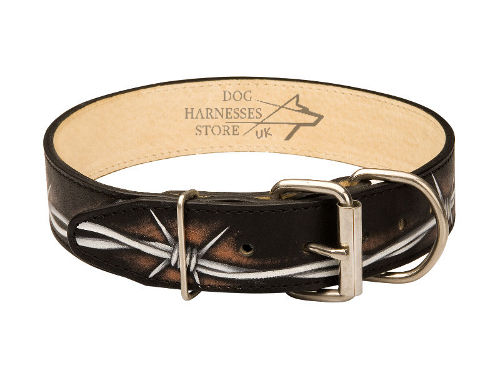 Leather Dog Collar UK