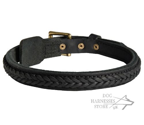 Braided Dog Collar